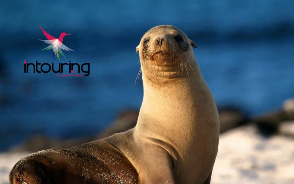 Vacaciones-a-Galapagos